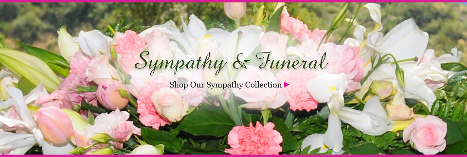 Sympathy Banner